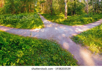 The Pedestrian Footpaths Intersect In The Park In Summer In Sunny Weather