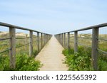 Pedestrian path in the dunes