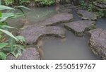 A pedestrian path made of fancy concrete sections runs along the lake. Green vegetation. Close-up. China. Stone Forest in Water. Heavenly Star Bridge Tianxing Qiao.Tianxingqiao Scenic Area