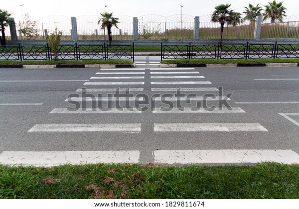 Pedestrian path walk painted on
road