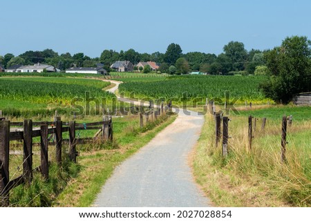 Pedestrian road through the fields at the Flemish countryside in summer