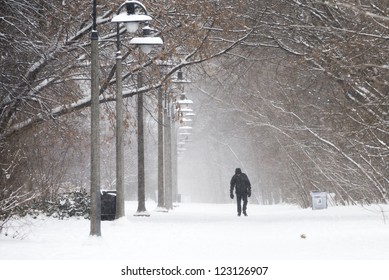 A Pedestrian Walks In Heavy Snow