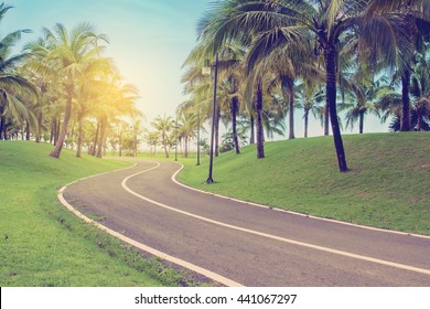 Pedestrian Walkway For Exercise And Coconut Palm Trees In The Park With Vintage Filter,Tropical Landscape.