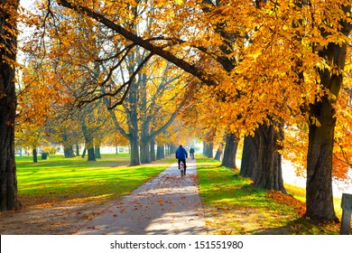 Pedestrian walkway for exercise lined up with beautiful fall trees