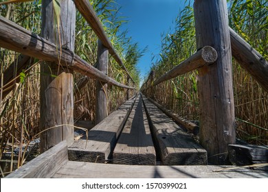 The pedestrian wooden footbridge with the railing goes through the dry reeds in the lake, with shallow water all around.
