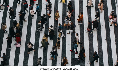 Pedestrians Crossing A Crosswalk In Shibuya, Japan