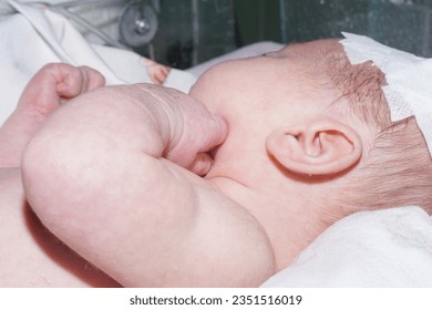 Pediatric intensive care. Perinatal Medicine. Infant resuscitation                  