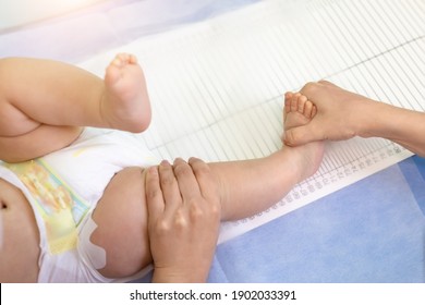 Pediatrician Specialist Taking Measurement Of Infant Child Height During Screening Examination. Doctor Or Nurse Holding Child Leg To Take Measure Of Person Length. Children Healthcare And Prevention