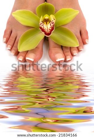 Pedicured feet with beautiful orchid and water reflection