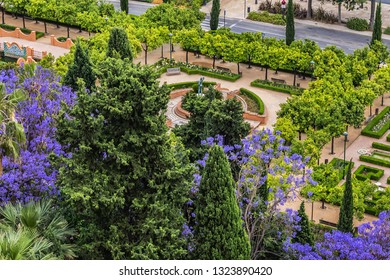 Imagenes Fotos De Stock Y Vectores Sobre Latin Garden Shutterstock