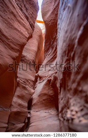 Similar – Hopeless Canyon