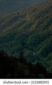 Peeking Over View Of Newfound Gap Road