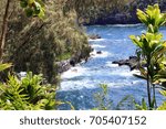 Peeking through pine and yucca trees and ferns to the Pacific Ocean at Onomea Bay in Papaikou, Hawaii