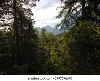 Peeking through the rich green trees in a forest to see a mountain summit in the far back while hiking