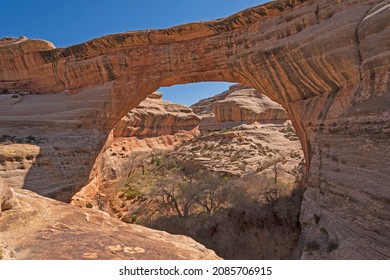 Peeking Through The Window Of A Natural Bridge On The Sipapu Bridge In Natural Bridges National Park In Utah