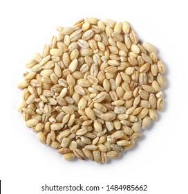 Peeled barley grains isolated on white background, top view