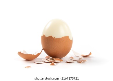 Peeled boiled egg with eggshell isolated on white background - Powered by Shutterstock