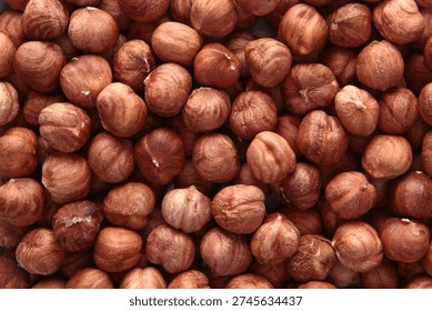 Peeled hazelnut kernels. Close-up. Texture of the nut. A vegan dish. View from above. Healthy eating. An energy product.