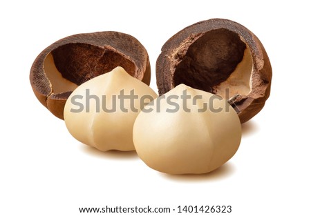 Peeled macadamia nuts and empty nutshells isolated on white background. Package design element with clipping path