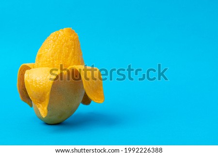 peeled manila mango on a blue colored background