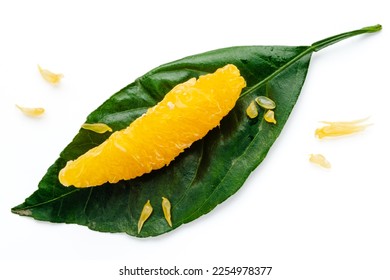 Peeled orange fruit pulp on green leaf isolated on white background. Macro photo of citrus fruit slice. Fresh, juicy pulp of orange - Shutterstock ID 2254978377