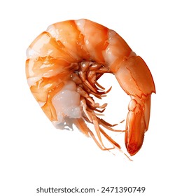 Peeled shrimp so delicious with transparent background 