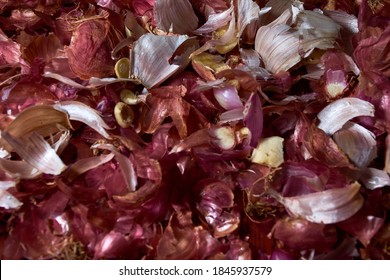 Peeled skin of red onion and garlic, food waste