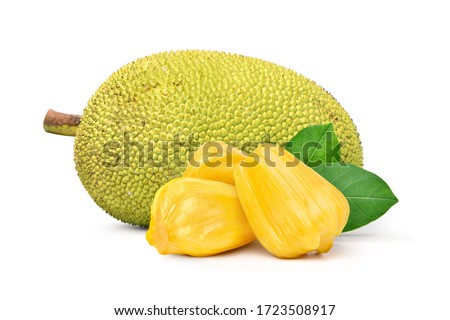 Peeled and unpeeled of jackfruit with green leaves isolated on white background.
