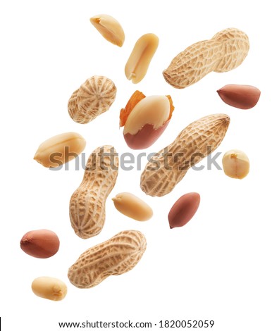 Peeled, unpeeled and whole shell peanuts isolated on white background