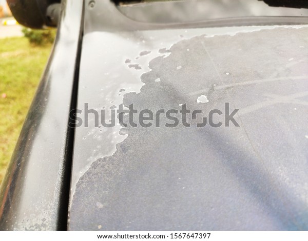 Peeling of car paint and\
varnish