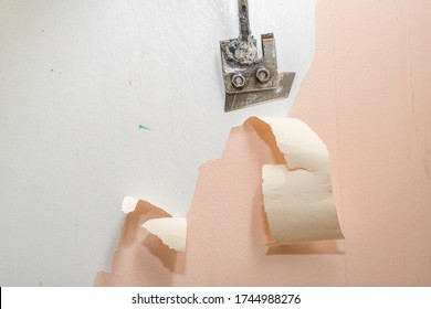 Peeling Old Latex Paint Off The Wall. Using A Scraper To Renovate A Bathroom. Place - Renovation At Home.