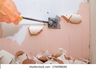 Peeling Old Latex Paint Off The Wall. Using A Scraper To Renovate A Bathroom. Place - Renovation At Home.