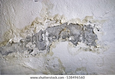 Similar – Image, Stock Photo dank Damp moisture