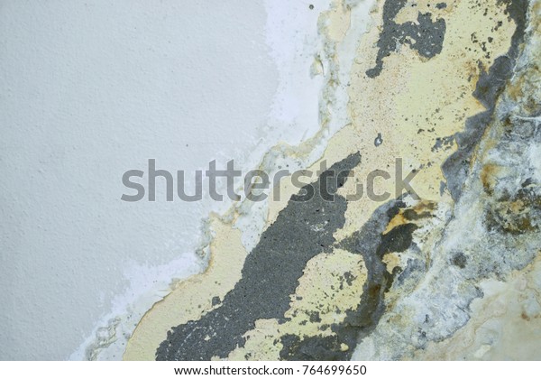 Peeling Paint Indicating Damp On Wall Interiors Stock Image