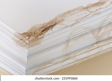 Peeling paint on an interior ceiling a result of water damage caused by a leaking pipe a result of substandard plumbing completed by an unqualified plumber. A common house insurance claim.