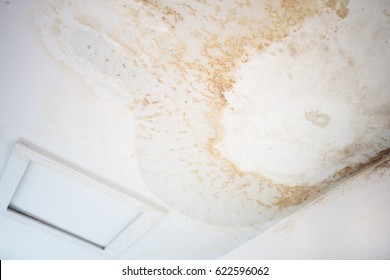 Ceiling Water Damage Images Stock Photos Vectors Shutterstock