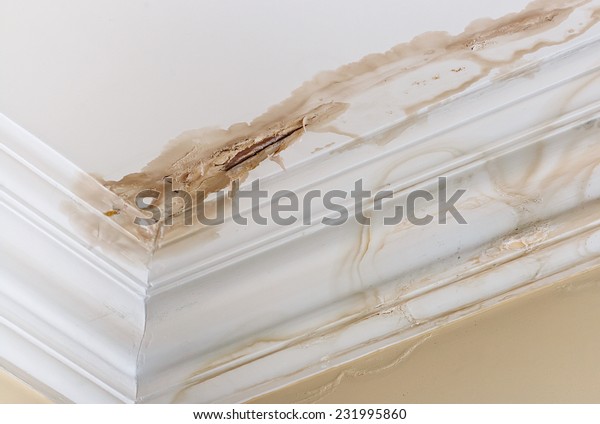 Peeling Paint On Interior Ceiling Result Stock Photo Edit