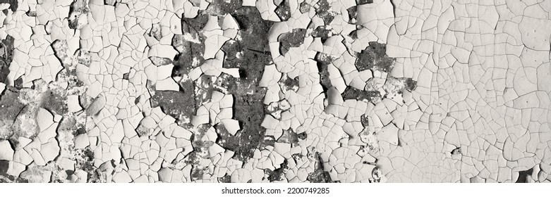 Peeling paint on the wall. Panorama of a concrete wall with old cracked flaking paint. Weathered rough painted surface with patterns of cracks and peeling. Wide panoramic texture for grunge background