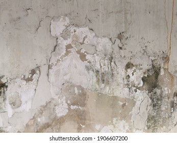 Peeling Paint On Wall Seamless Texture. Pattern Of Rustic White Grunge Material.Texture, Pattern, Background. Old Paint. Concrete Wall Cracked Paint.