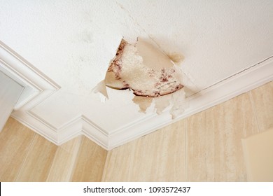 Peeling paint wall of water leak in plaster ceiling of bathroom