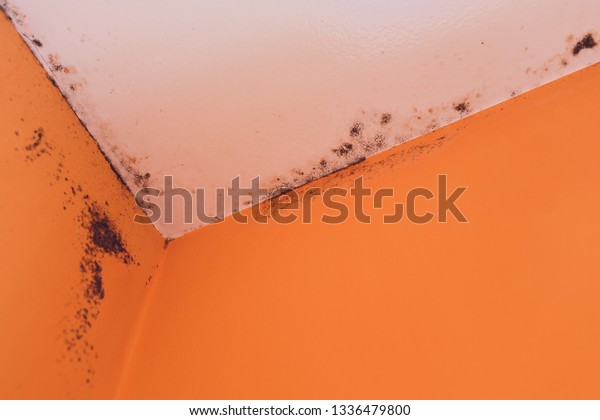 Peeling Paint Wall Water Leak Plaster Stock Photo Edit Now