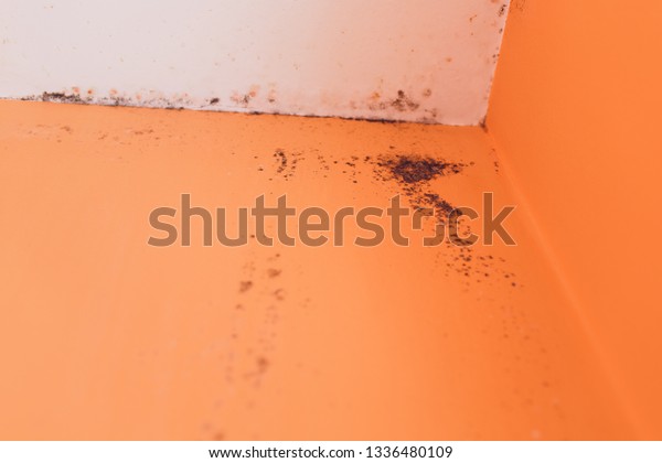 Peeling Paint Wall Water Leak Plaster Stock Photo Edit Now