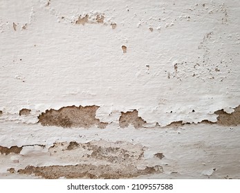 Peeling paint of white concrete wall. Paint deterioration after long time use leading to the peeling of paint and rough surface on the wall. 