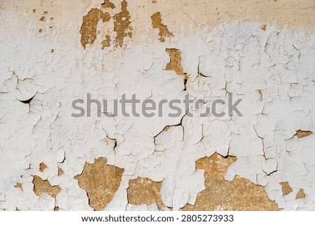 Peeling plaster and paint texture for backgrounds, overlays, and grunge designs.