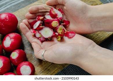 Peeling radishes in hands. Sorting organic food waste, composting. Female hands hold peeling ripe radish on background of wooden cutting board. Disposal of food waste - Powered by Shutterstock