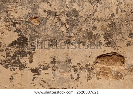 A peeling wall. The background of a flaking, covered with mold. Old texture of peeling. Wall texture with flaking and mold