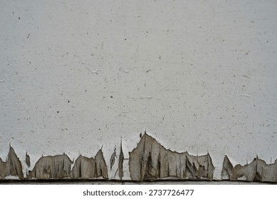 Peeling white paint on old wooden surface with cracked and chipped layers – distressed texture background, weathered wood, aging material, grunge surface detail