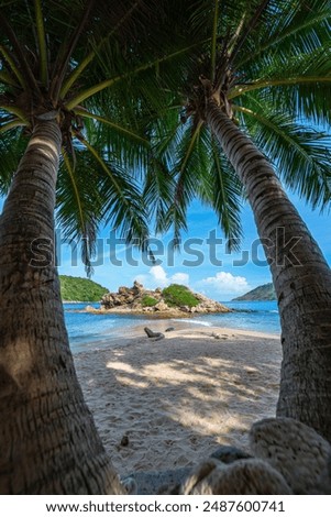 Peer through the coconut trees on the beach to see a small island surrounded by blue water.
coconut palm trees at a tropical beach at Yanui beach Phuket.Beach Coconut Tree  Images and Stock Photos.
