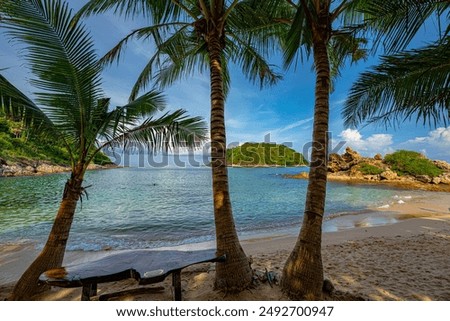 Peer through the coconut trees on the beach to see a small island surrounded by blue water.coconut palm trees at a tropical beach at Yanui beach Phuket.Beach Coconut Tree  Images and Stock Photos.