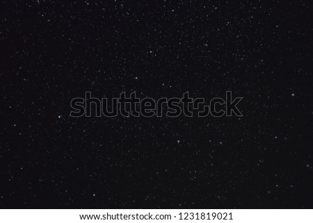 Pegasus constellation in the night sky